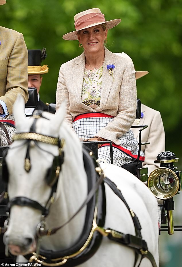 Sophie, 60, who is Vice President of the four-day annual event held at Home Park, Windsor Castle, beamed as she took part in the British Driving Society Drive during the occasion