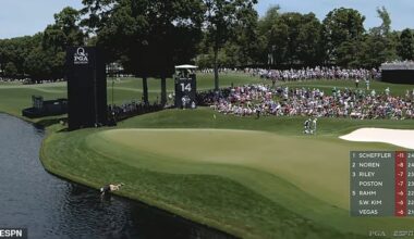 A PGA Championship volunteer went to crazy lengths to retrieve Rory McIlroy¿s ball