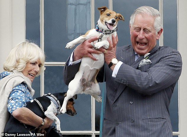 King Charles III and Queen Camilla (then the Prince of Wales and Duchess of Cornwall) holding her dogs Beth (left) and Bluebell, during the inaugural Dumfries House Dog Show at Dumfries House, Cumnock, Ayrshire