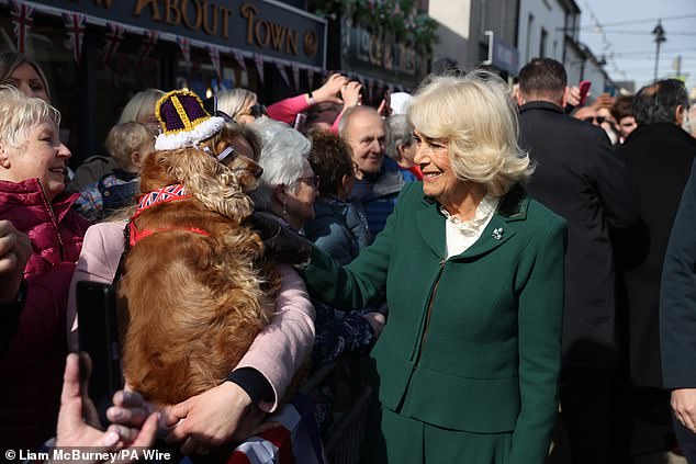 Queen Camilla talks with well-wisher Nadine Connor, holding her dog Lily wearing a knitted crown, as he arrives in Limavady, on day two of the royal visit to Northern Ireland