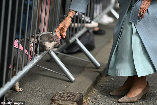 Queen Camilla meets meets a dog while chatting with well-wishers as she arrives to visit the cottage in Thornton where the Bronte children were born during a visit to Bradford to celebrate the city's year as UK City of Culture on May 15, 2025