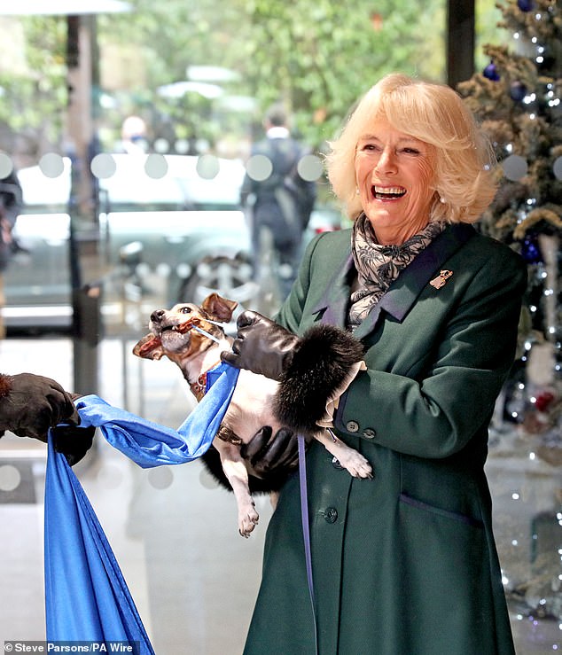 The then Duchess of Cornwall (now Queen Camilla) with Beth, her jack-russell terrier, unveiling a plaque as they visit the Battersea Dogs and Cats Home to open the new kennels and thank the centre's staff and supporters
