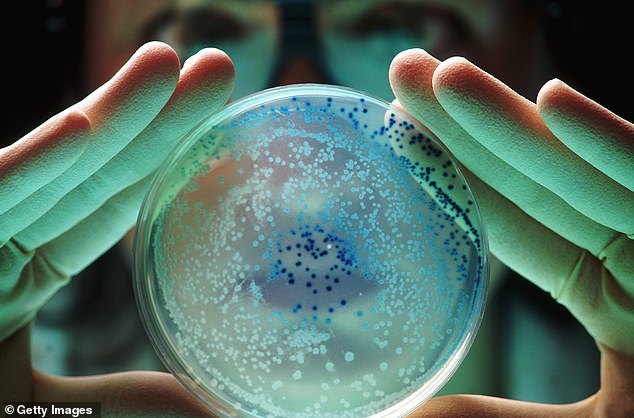 The bacteria, which were named Niallia tiangongensis after the station, are a relative of a soil-dwelling bacterium from Earth that can cause sepsis (stock image)