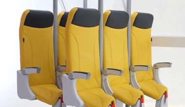It’s a money-saving move to that’s sure to divide holidaymakers – but several budget airlines will reportedly introduce standing-only seating options next year