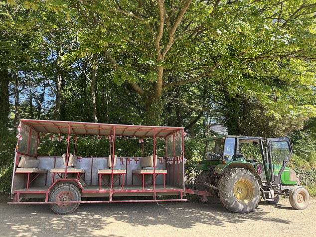 Residents regularly compare their lives to an 'Enid Blyton novel', where children have the freedom to explore the great outdoors and time feels slightly warped