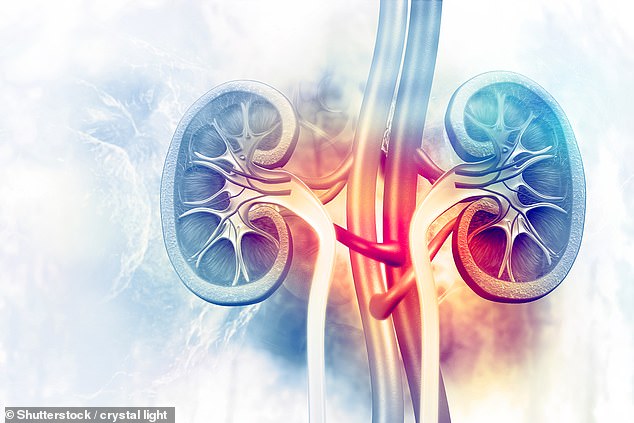 An expert has shared the early signs of kidney cancer often dismissed as seemingly innocent