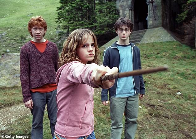 The first Harry Potter film was brought out in 2001, with the series wrapping up a decade later, the new adaptation will be spread across seven seasons  - one for each book
