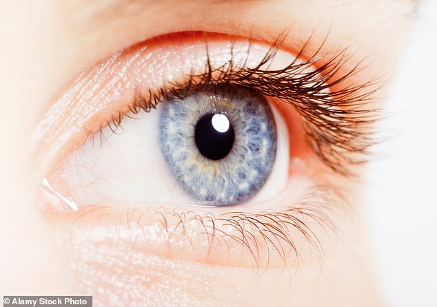 Blue eyes are actually not blue at all, they are transparent but appear blue by a trick of the light (File image)