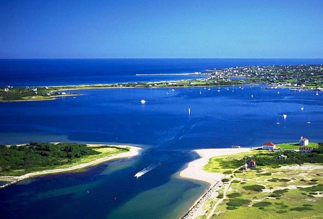 The large animal was spotted in Great Salt Pond, an aerial view of the pond is seen here