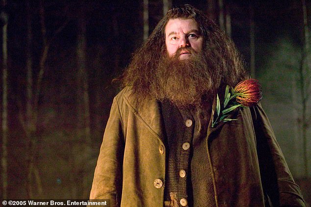 In the book, the hut is off the coast of Cornwall, with the films been shot entirely in the United Kingdom, but producer's sought a breezier location (Robbie Coltrane as Hagrid)