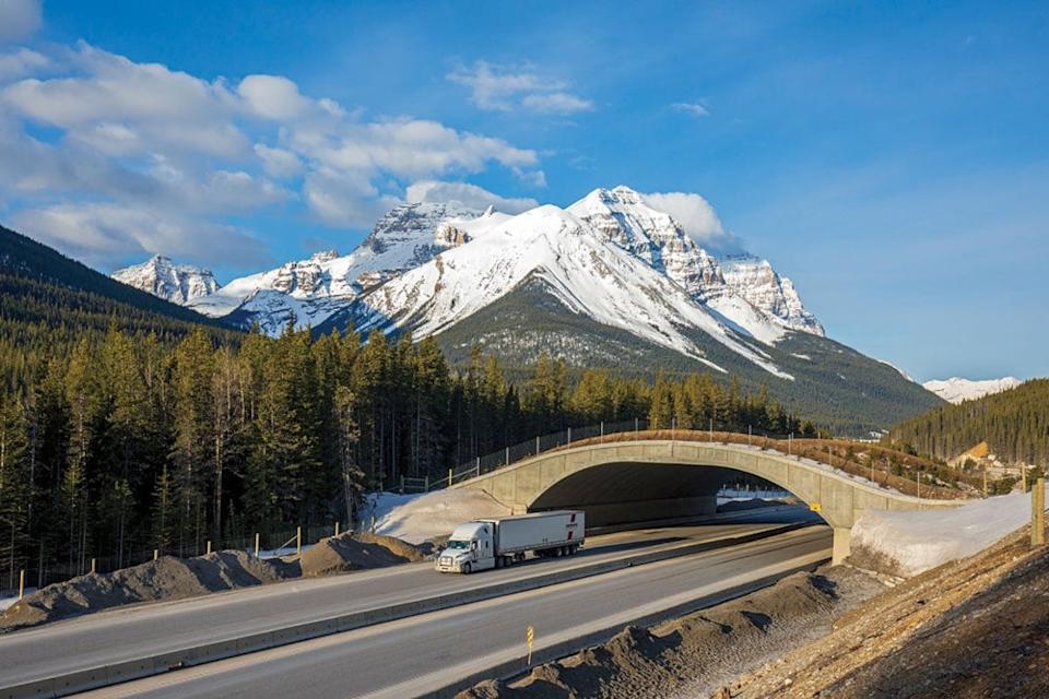The Yoho overpass built in 2017 over the Trans Canada Highway east of Golden, B.C. — Picture by John E. Marriott/Canadian Geographic