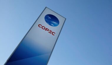 China pulp market could be challenging in face of US tariffs, Copec says