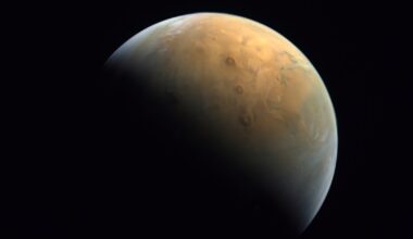Musk says 50-50 chance of sending uncrewed Starship to Mars by late 2026 | Space News