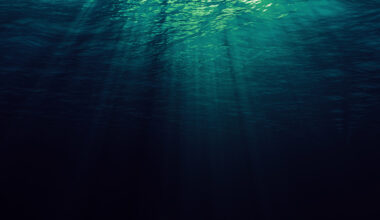 New study says more than 99% of the deep sea is still a mystery