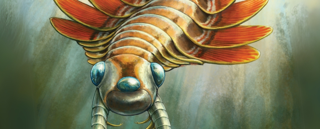Bizarre Three-Eyed Predator Hunted The Ocean Half a Billion Years Ago : ScienceAlert