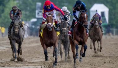 Awesome Aaron, Echo Sound win undercard stakes