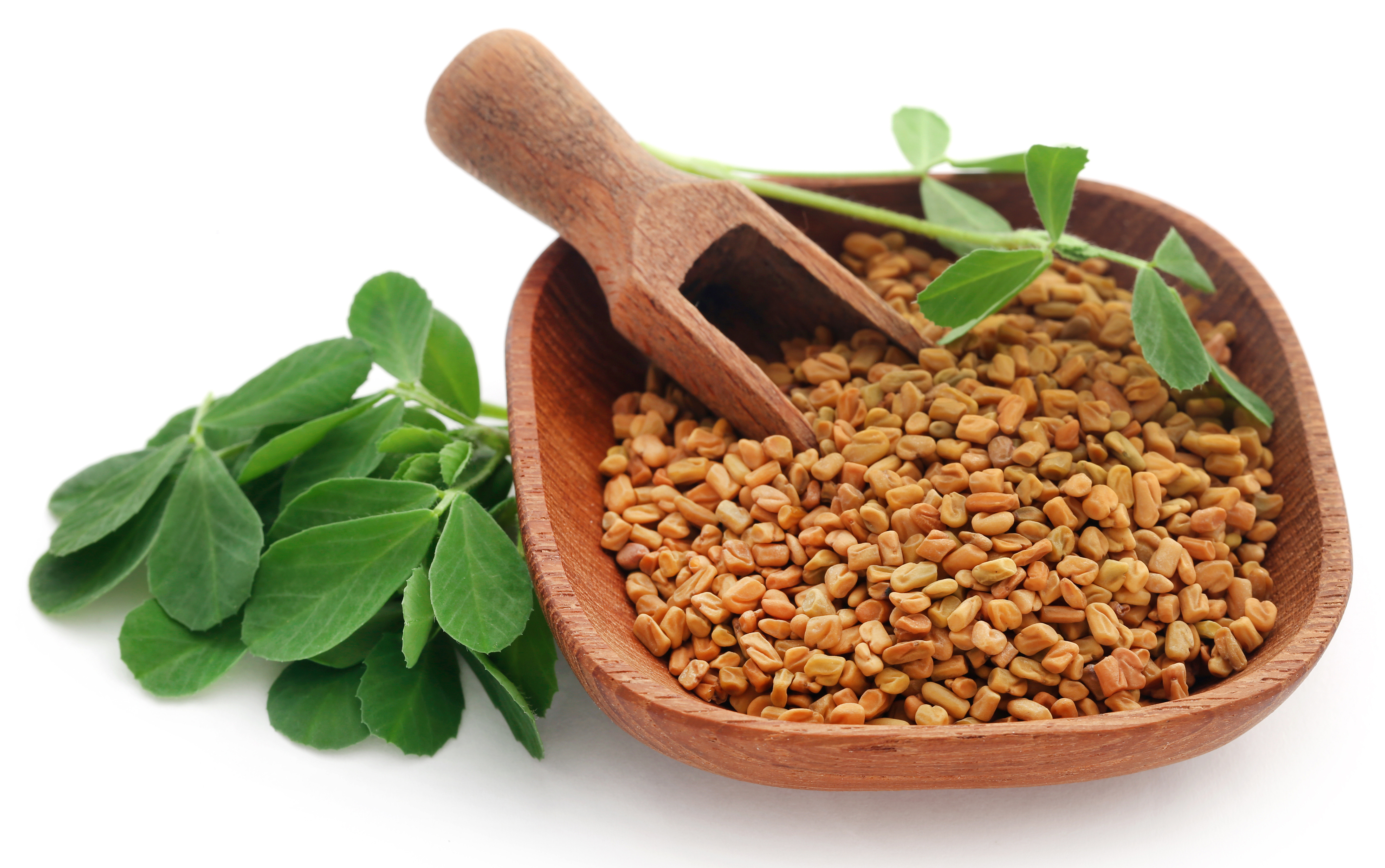 Fenugreek seeds help regulate blood sugar levels and improve insulin sensitivity(Shutterstock)