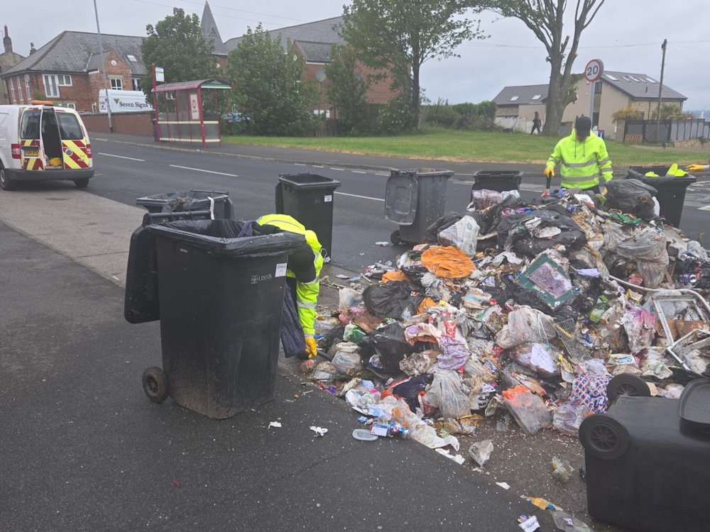 Urgent warning about batteries and barbecues after three bin wagon fires