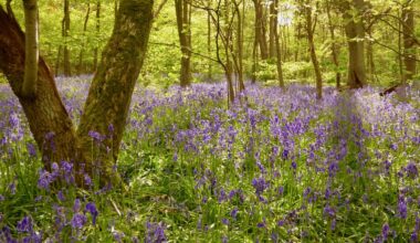 What’s On Roundup 3-9 May 2025