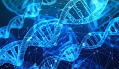 Brazil genetic disorder