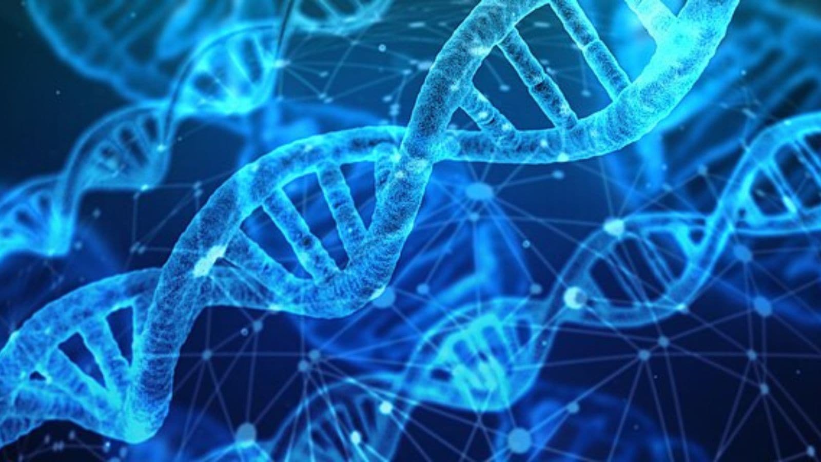 Brazil genetic disorder