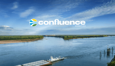 COnfluence