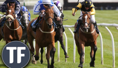 Catterick Flat Timeform