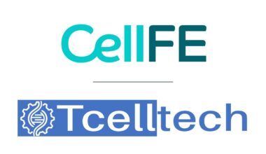 CellFE® Partners with DKFZ and TcellTech to Advance DNA Vector Genetic Engineering for Cellular Therapies