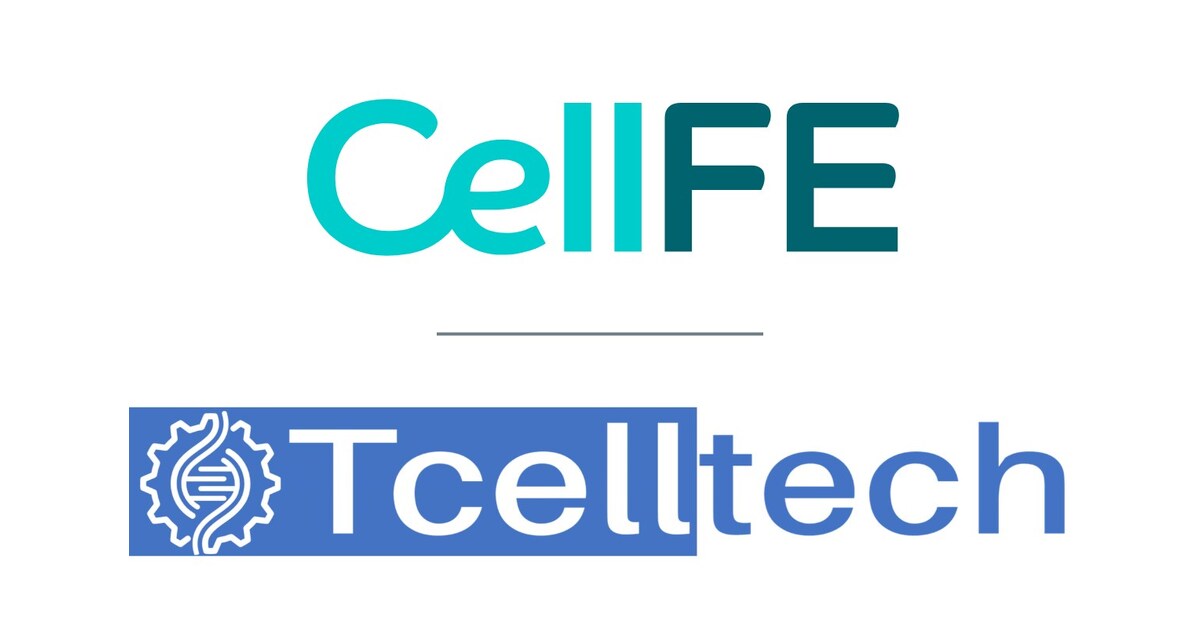 CellFE® Partners with DKFZ and TcellTech to Advance DNA Vector Genetic Engineering for Cellular Therapies