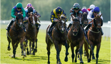A 3/1 Nap tops our Windsor wagers tonight
