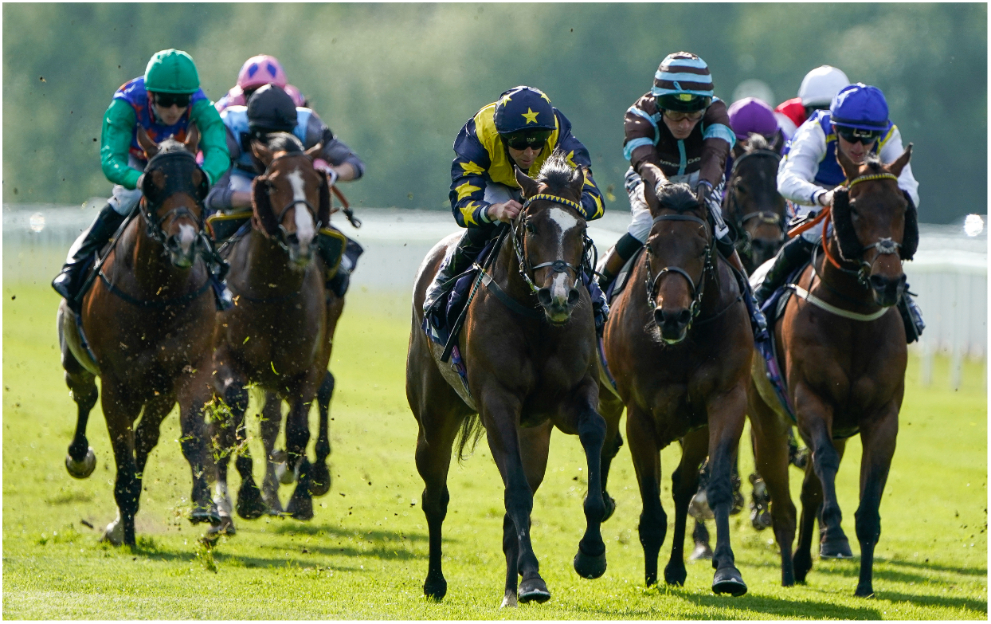 A 3/1 Nap tops our Windsor wagers tonight