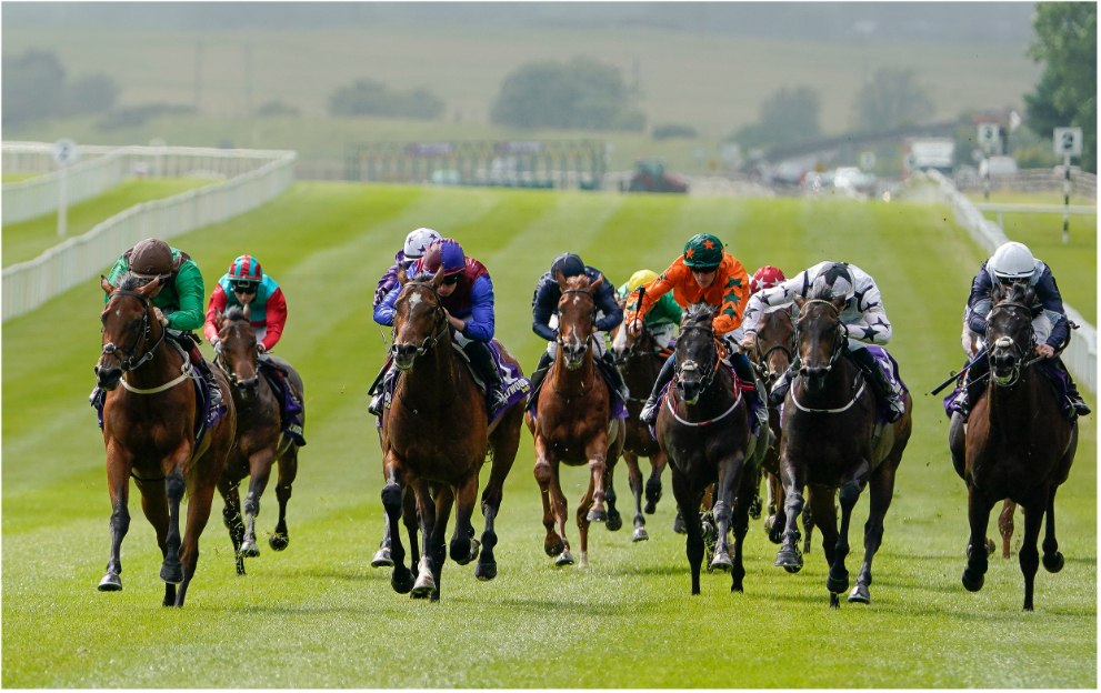 A 13/2 shot tops our Curragh shouts tonight
