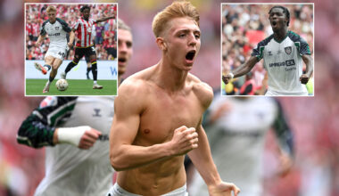 Sheffield Utd 1 Sunderland 2: Black Cats back in Prem for first time in 8 YEARS as controversial star nets £200m winner