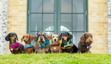 Goodwoof comes to The Connaught! The Duke of Richmond’s famed day-out-for-dogs comes to the Mayfair bolthole with a special sweet treat in honour of one of his favourite breeds, the Dachshund