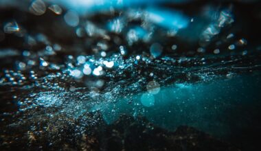 The ocean is getting darker. Here's what that means for life on Earth