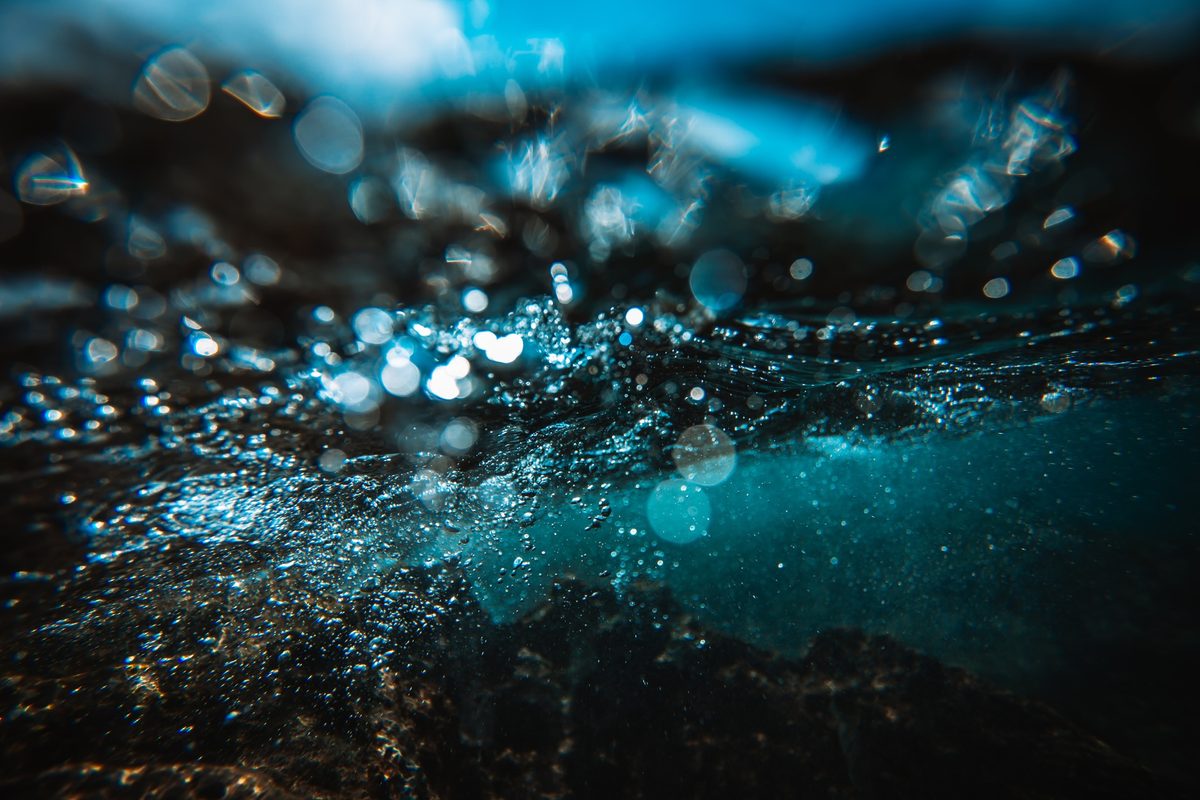 The ocean is getting darker. Here's what that means for life on Earth