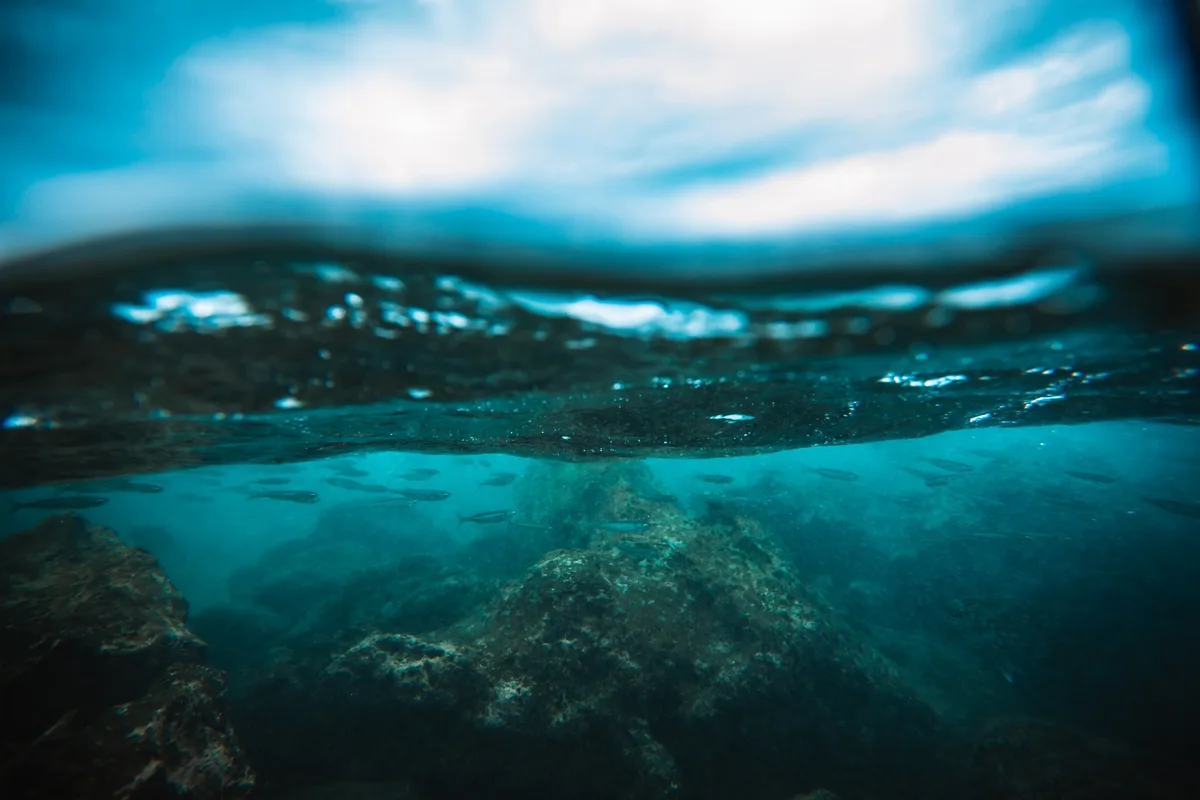 Dark ocean