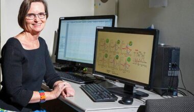 UF study reveals genetic clues linked to higher OCD risk