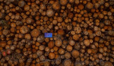 EU simplifies reporting requirements for Deforestation Regulation