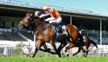 Horse racing: Towering Vision claims stakes victory in desperate finish