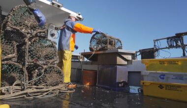 Can a Brexit trade deal keep British fishing afloat? – Channel 4 News