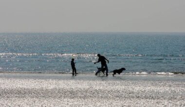 Young girl suffers ‘burns to her feet’ from left behind disposable BBQ on Co Down beach – The Irish News