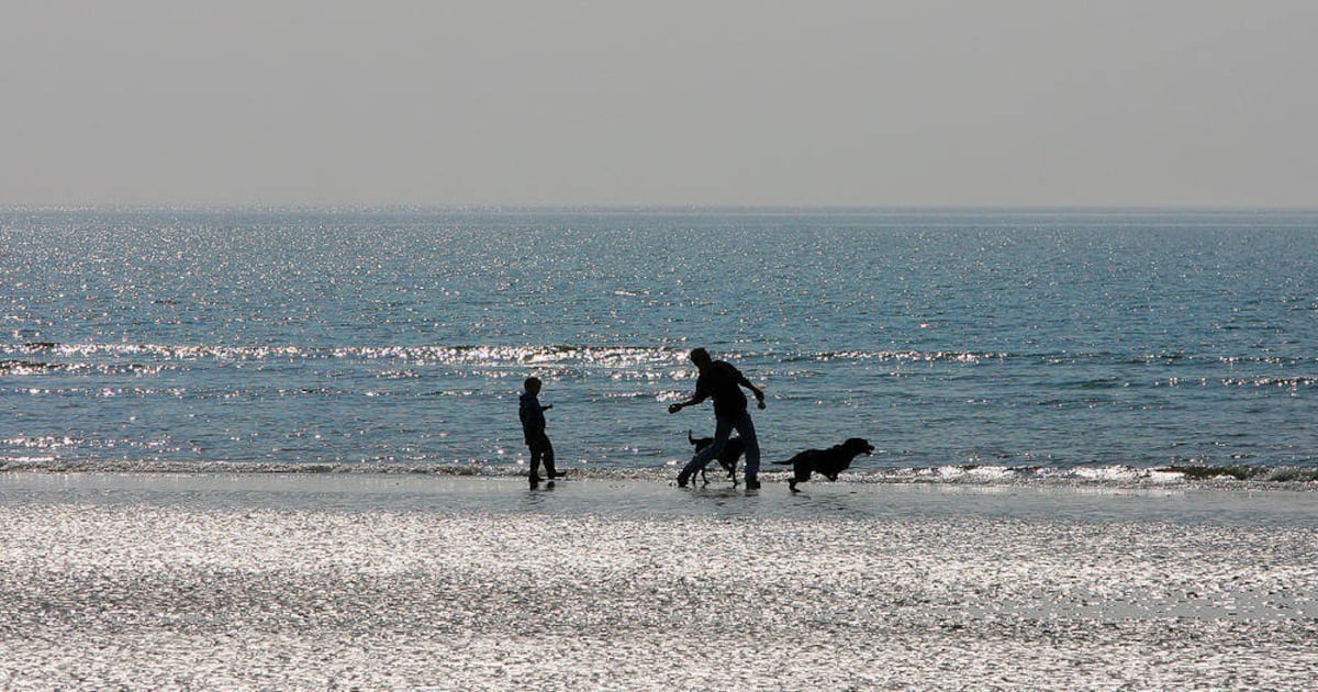 Young girl suffers ‘burns to her feet’ from left behind disposable BBQ on Co Down beach – The Irish News