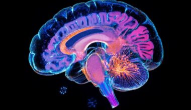 Neuroscience News logo for mobile.