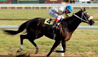 CHRB Votes Down Meet For Ferndale, The Last Remaining NorCal Fairs Track That Wanted To Race In '25