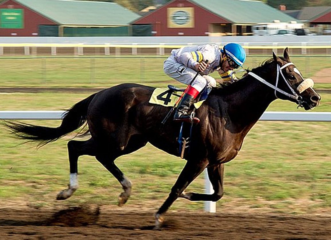CHRB Votes Down Meet For Ferndale, The Last Remaining NorCal Fairs Track That Wanted To Race In '25