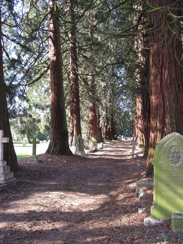 Friends of Brandwood End Cemetery 