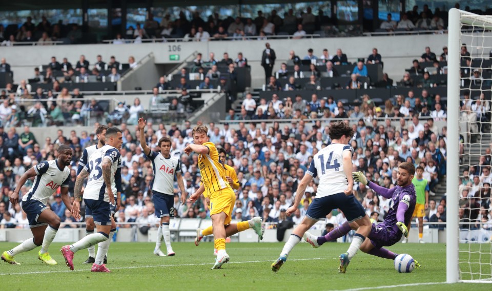 Brighton thrashed Tottenham on the last day of the season
