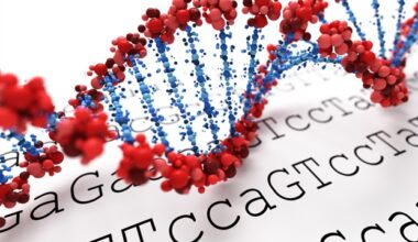 Study uncovers how a mobile genetic element hijacks human cells