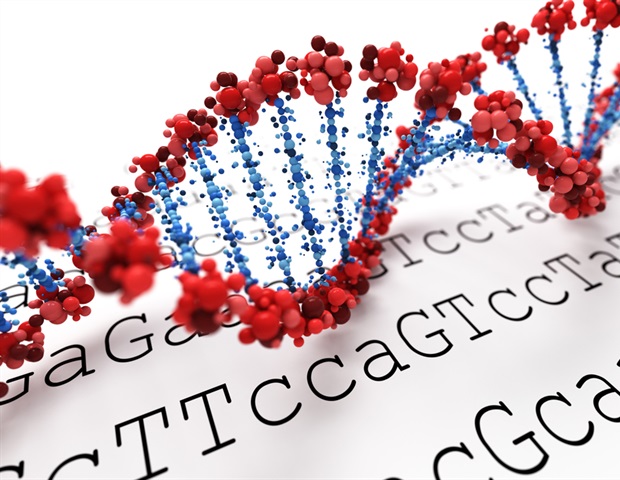 Study uncovers how a mobile genetic element hijacks human cells